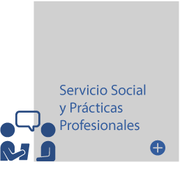 Servicio Social